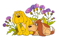 Old Dogs