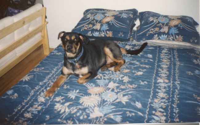 On the bed and looking good