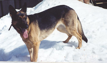 And now we play in the snow.