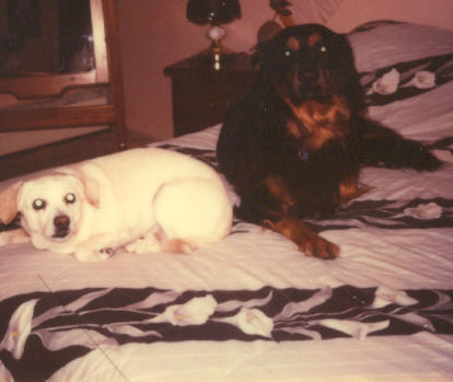 Sandy and Hanz on the bed
