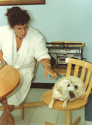Sandy being scolded